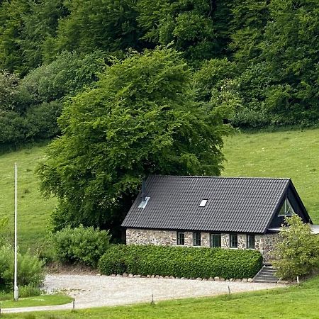 Stenhuset i Pilbrodalen Skanderborg Eksteriør billede